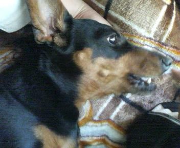 やめろやぁ～！