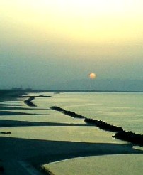 皆生夕日１