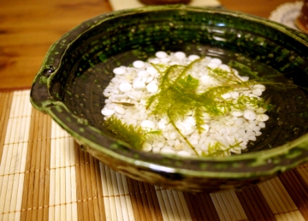 睡蓮鉢