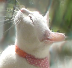 ララ♪ちゃん。。。