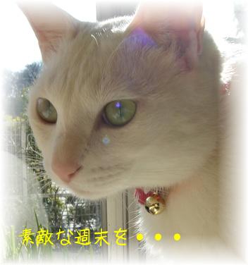 ララ♪ちゃん