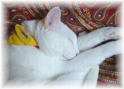 ララ♪ちゃん・・