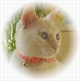 どうそ・・よろしくニャン♪