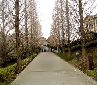 イタリア山庭園