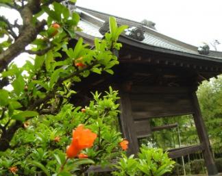 ざくろの花と・・鐘堂