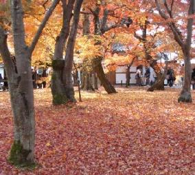 京都　東福寺