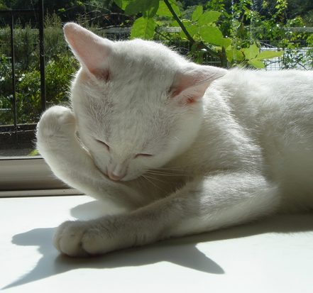 ララ♪ちゃん・・