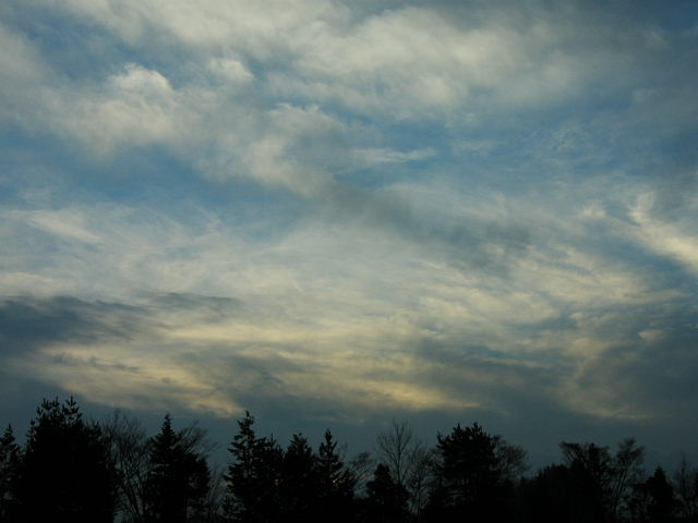 nikon p5100 142-1.jpg