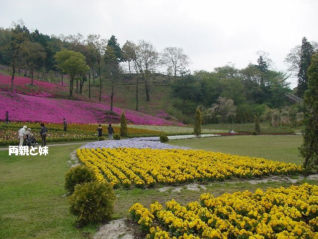 フラワーヒル菊池高原