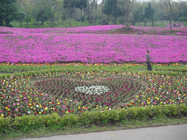 フラワーヒル菊池高原