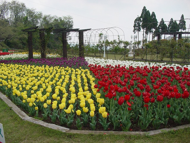 フラワーヒル菊池高原