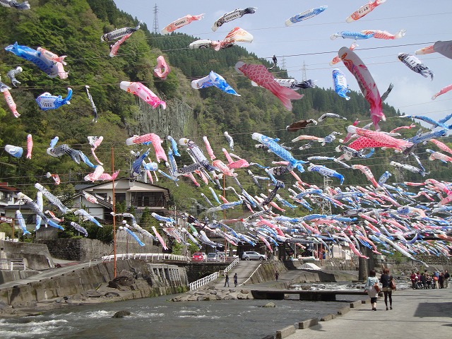 杖立こいのぼり