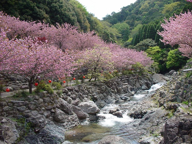 一心寺