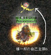 精一杯の自己主張