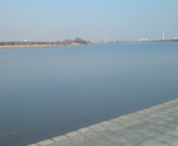 彩湖２