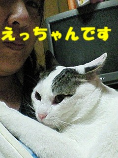 えくれあ.JPG