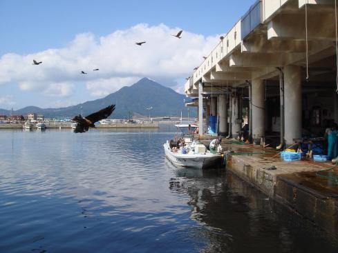 若狭高浜漁港