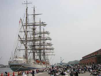 日本丸こんにちわ