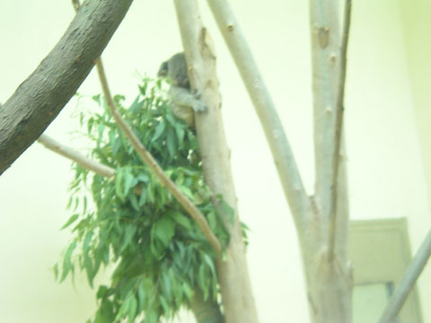 SANY0249.jpg
