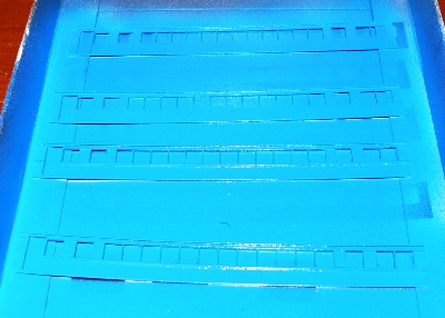 aP1000901.JPG