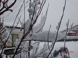 s-CIMG0004.jpg