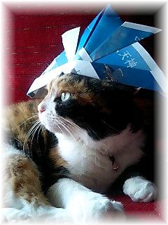 ﾆｬﾝｺﾞの節句