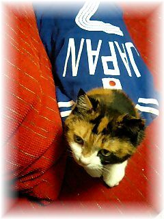 W杯応援りな-TOP