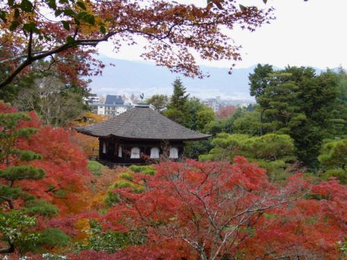 丘の上から見る銀閣と紅葉.jpg