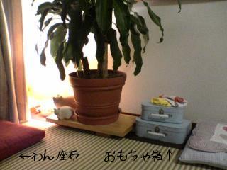 2005-11-21 17:09:13