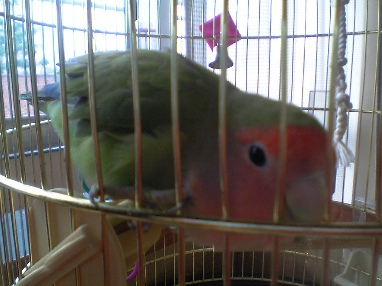 ウルウル光線ピーーーーッ