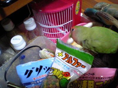 これぜーーんぶ私のものピッ