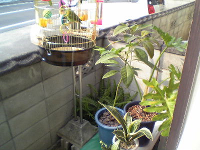 でも寒いねッピ