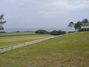 ハーベスター３