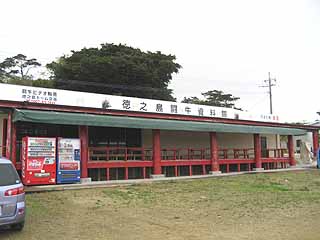 伊藤観光ドーム６