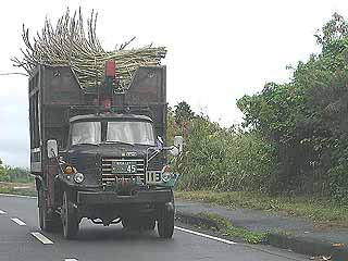 ボンネットトラック２