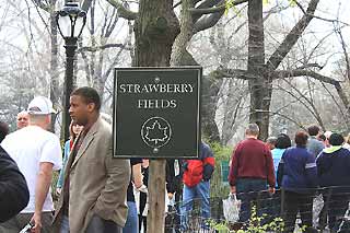 ストロベリーフィールズ1