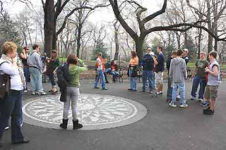 ストロベリーフィールズ3