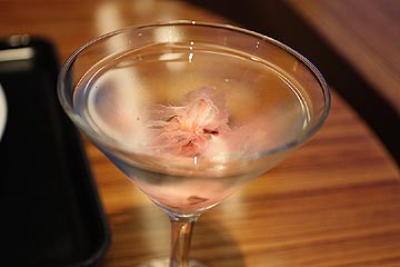 サクララウンジ２