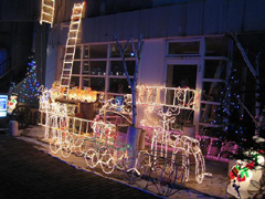 イルミネーション