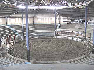 伊藤観光ドーム４