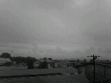 雨