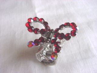 bannzu syo 12 ribon aka