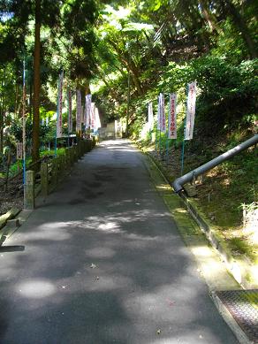 京阪八幡市駅周辺　杉山谷不動尊