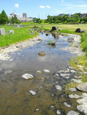 京阪寝屋川市駅周辺　打上川治水公園