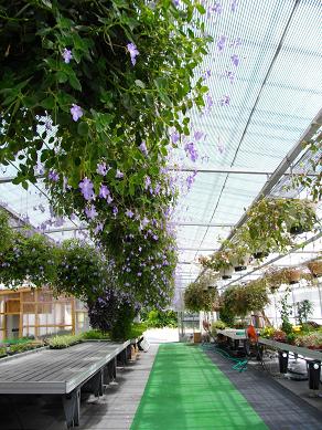 淡路島　パルシェ　香りの館