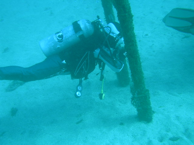 鳥居をくぐる-2