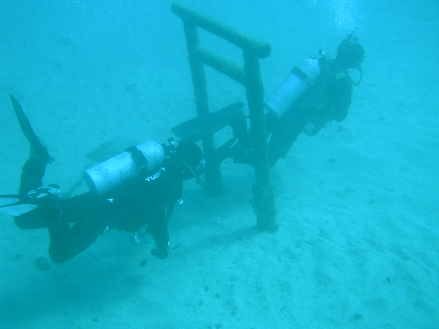 鳥居をくぐる-1