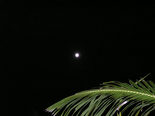 満月