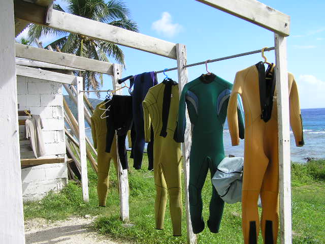 ダイブを終えて