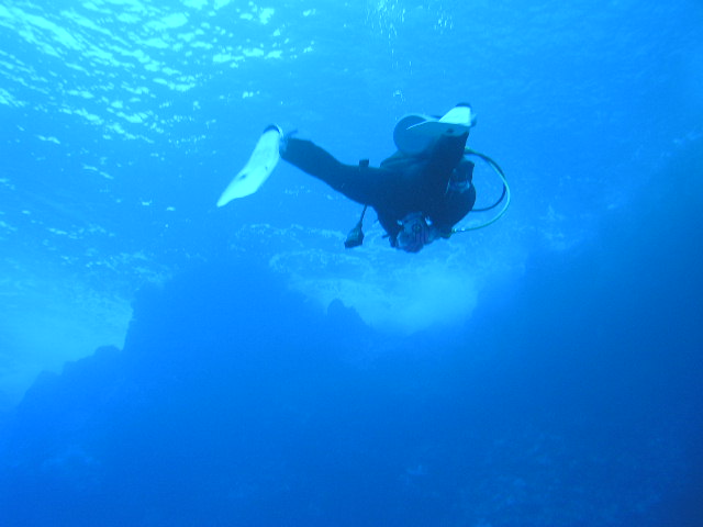 ホールを目指して